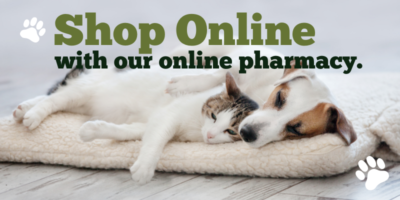 shop online pharmacy graphic