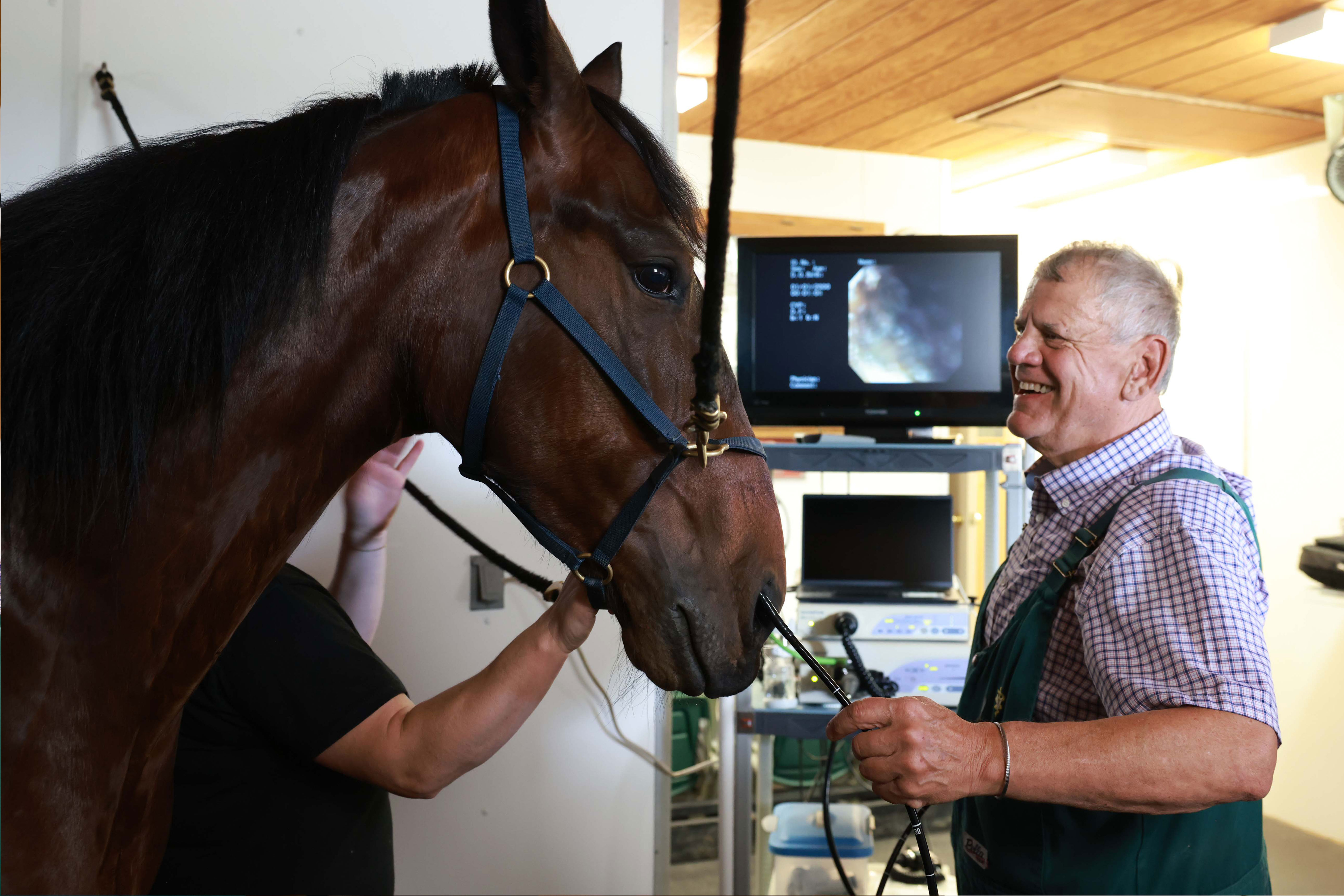 Video Endoscopy & Gastroscopy