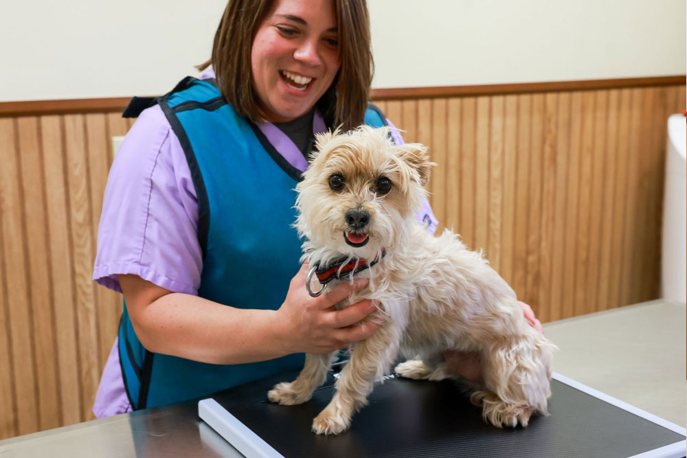 Annual Physical Exam