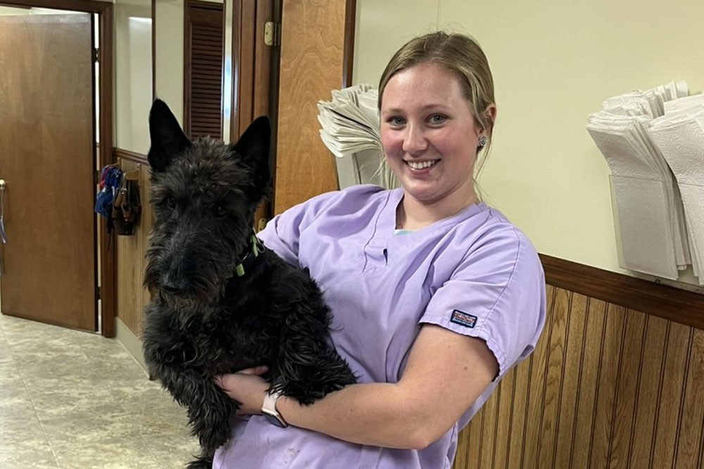 Annual Physical Exam
