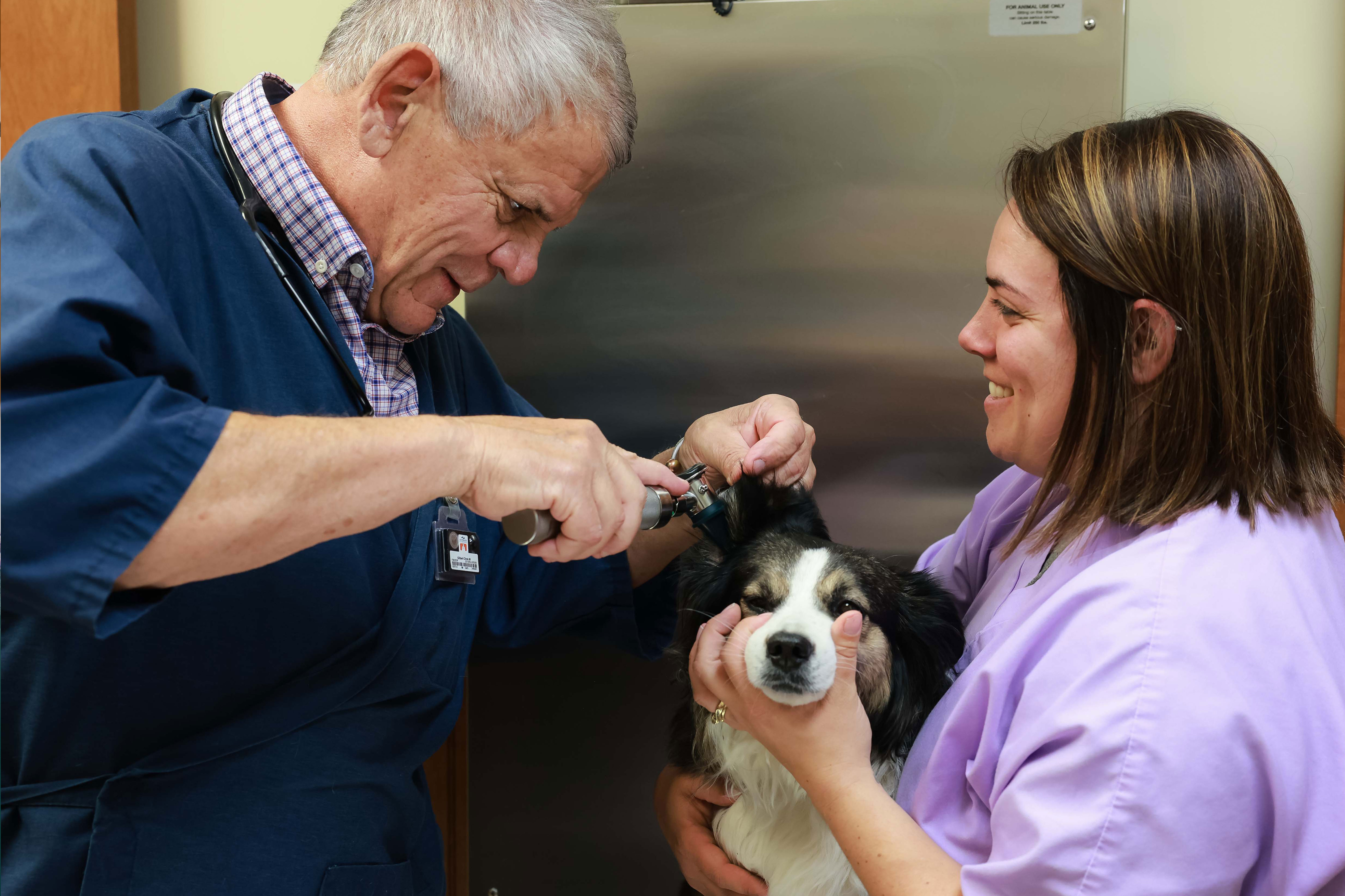 Annual Physical Exam