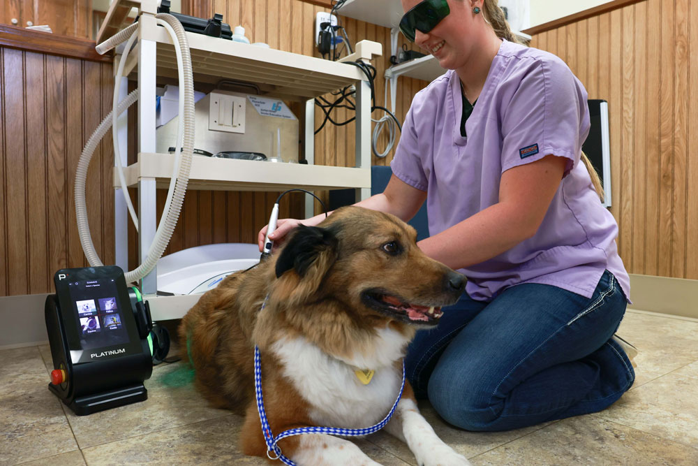 Annual Physical Exam